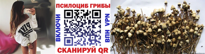 Псилоцибиновые грибы ЛСД  мега сайт  Льгов 